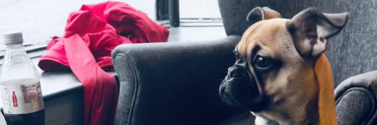 philofthed's profile banner image