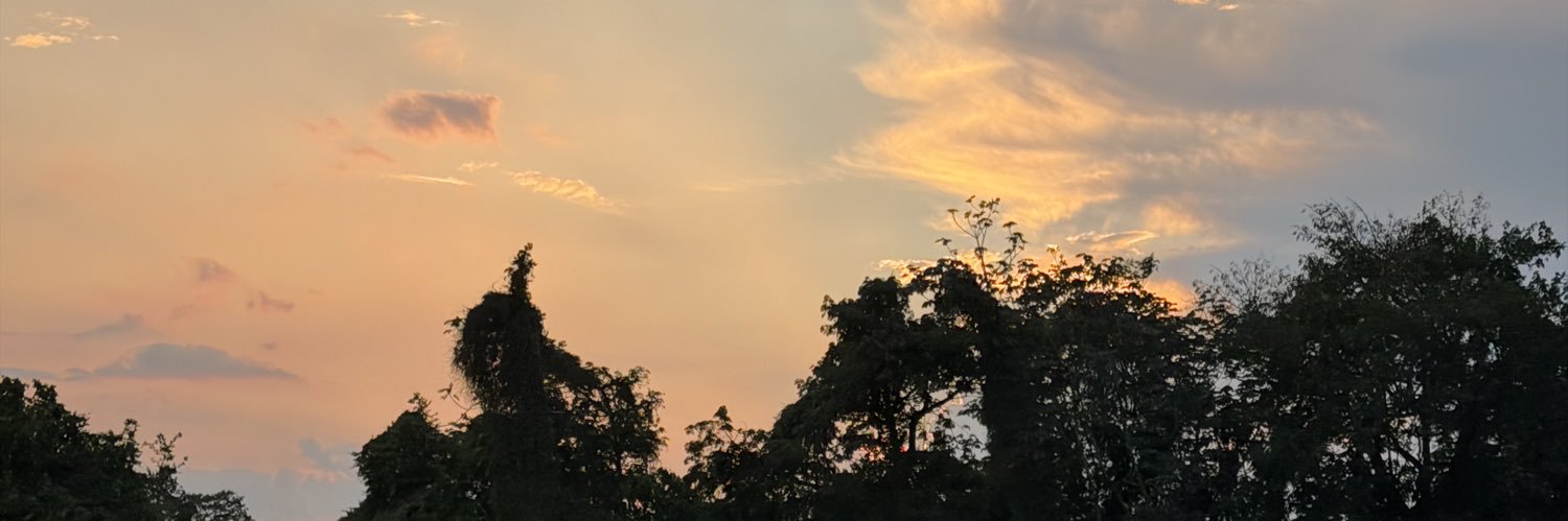 AlejandraaaG__'s profile banner image