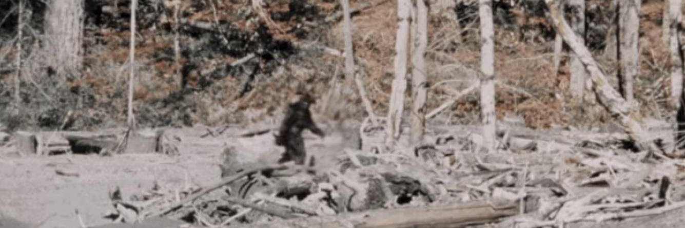 A Turkey or Something banner