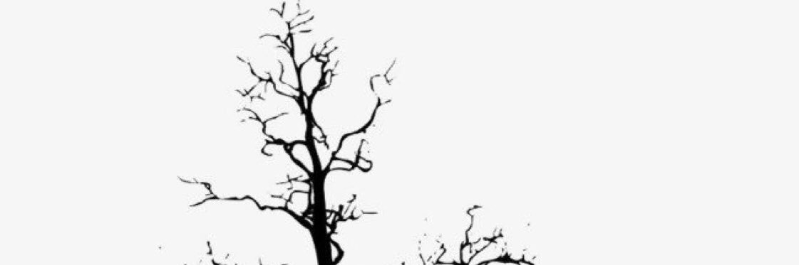 424Ha's profile banner image