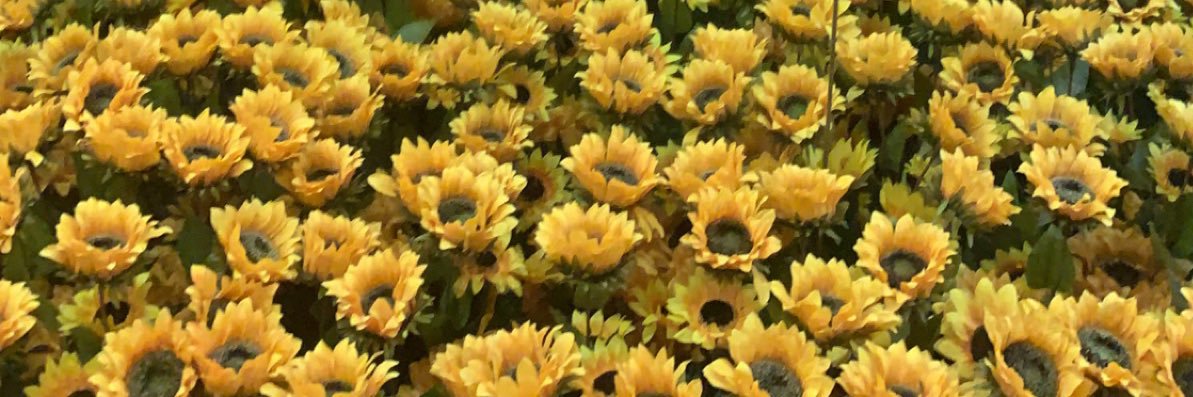 brooke_gantz's profile banner image