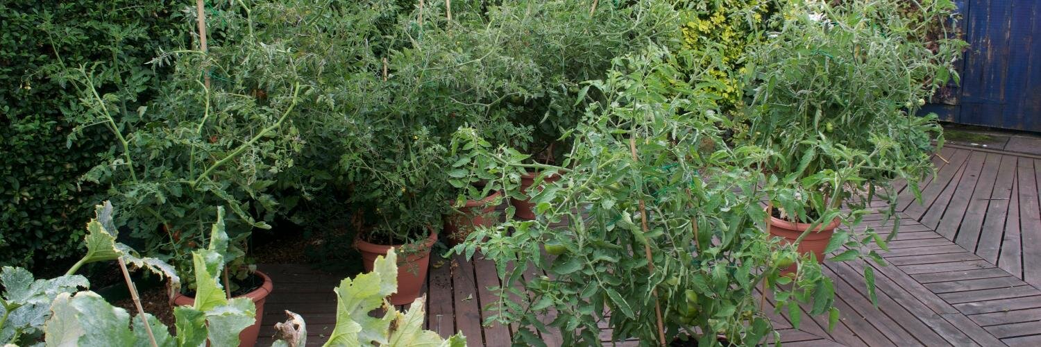 Jaume Bacardit banner