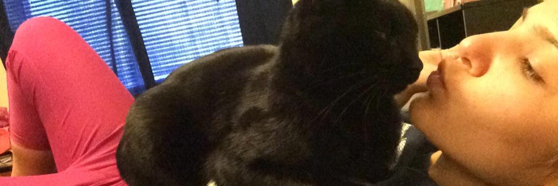 kitty_def's profile banner image