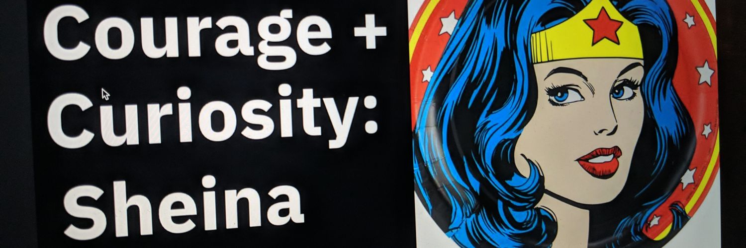 sheinasteaks's profile banner image