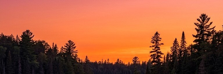 terriblevulcan's profile banner image