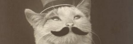 Big Fred Machine banner