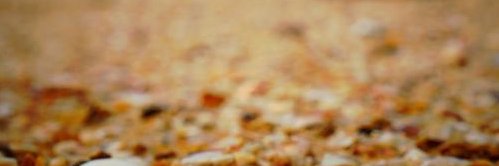 mizhan2000's profile banner image
