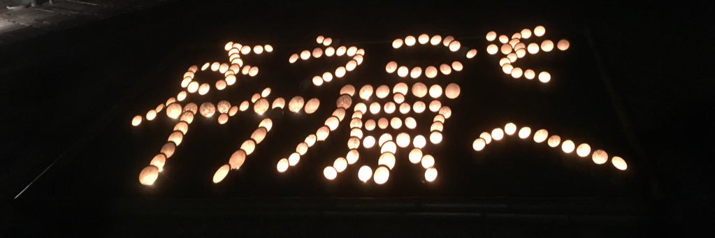 cat3293's profile banner image