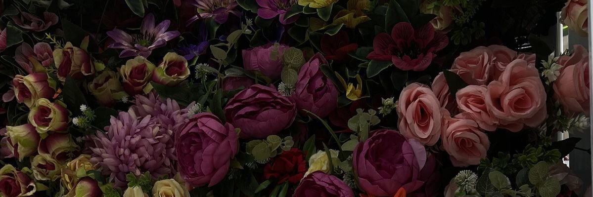 SheriiGaribaldi's profile banner image
