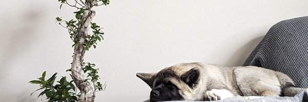 Cahill347 Profile Banner