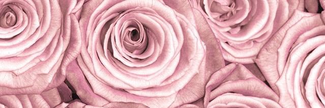 lovefatimwaaa's profile banner image