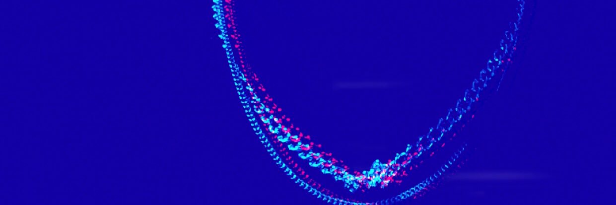 SolarSolary01's profile banner image