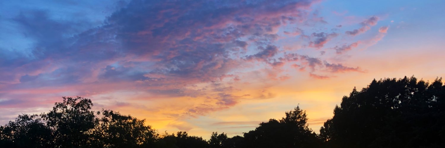amymaaae's profile banner image
