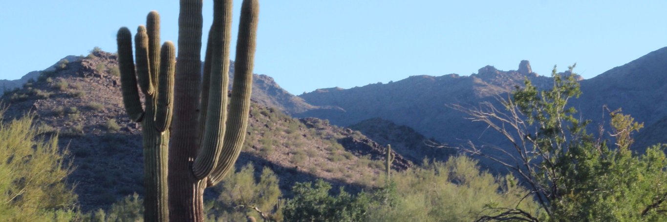 MMoringAZ's profile banner image