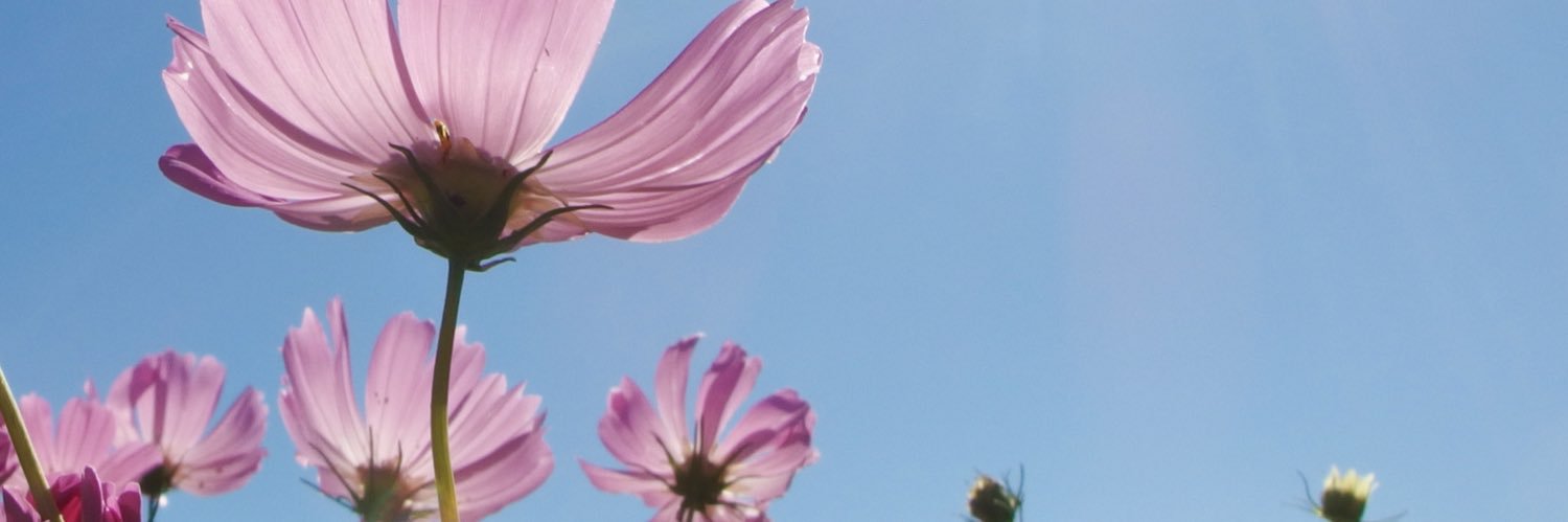 21Yum's profile banner image