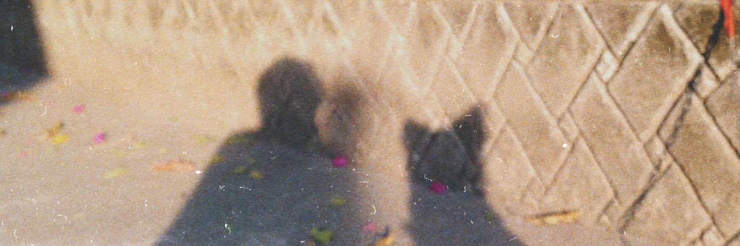 rqlgt's profile banner image