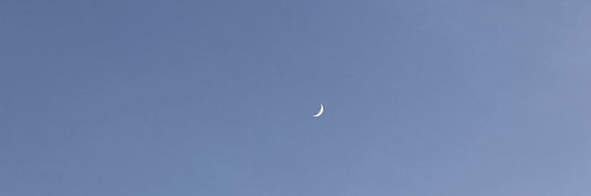 n_f_e_'s profile banner image