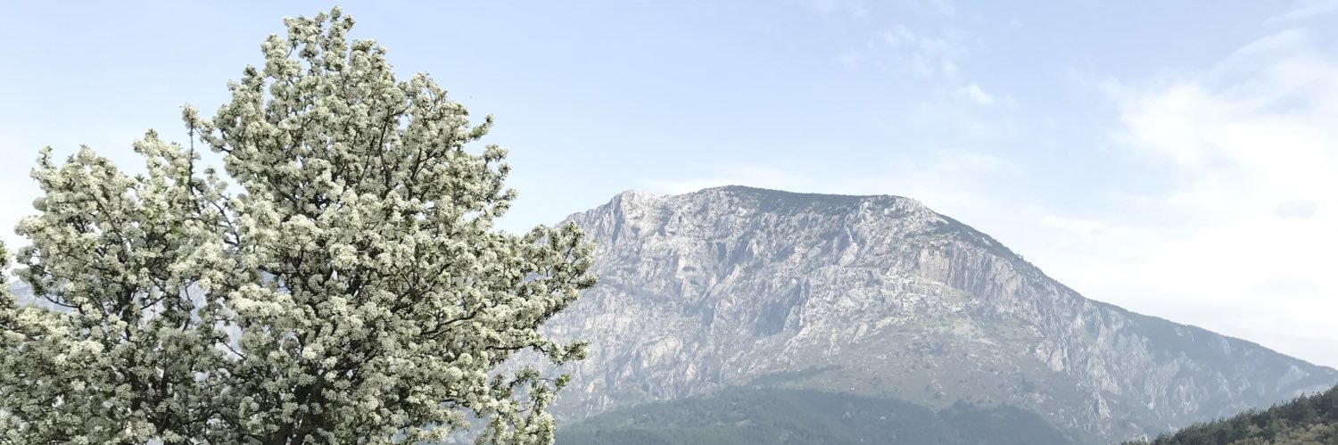 FuatKuloglu's profile banner image