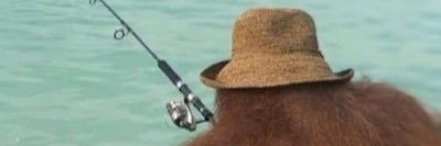 BudHamshaw's profile banner image