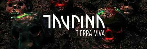 taurinaband's profile banner image