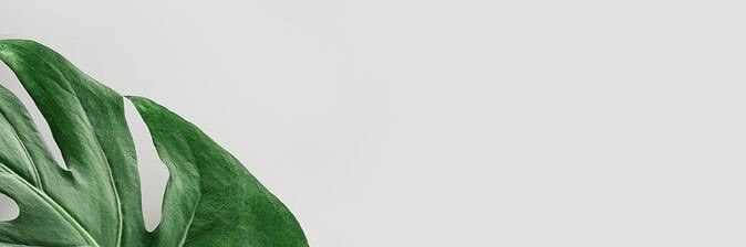 setyaismaya's profile banner image