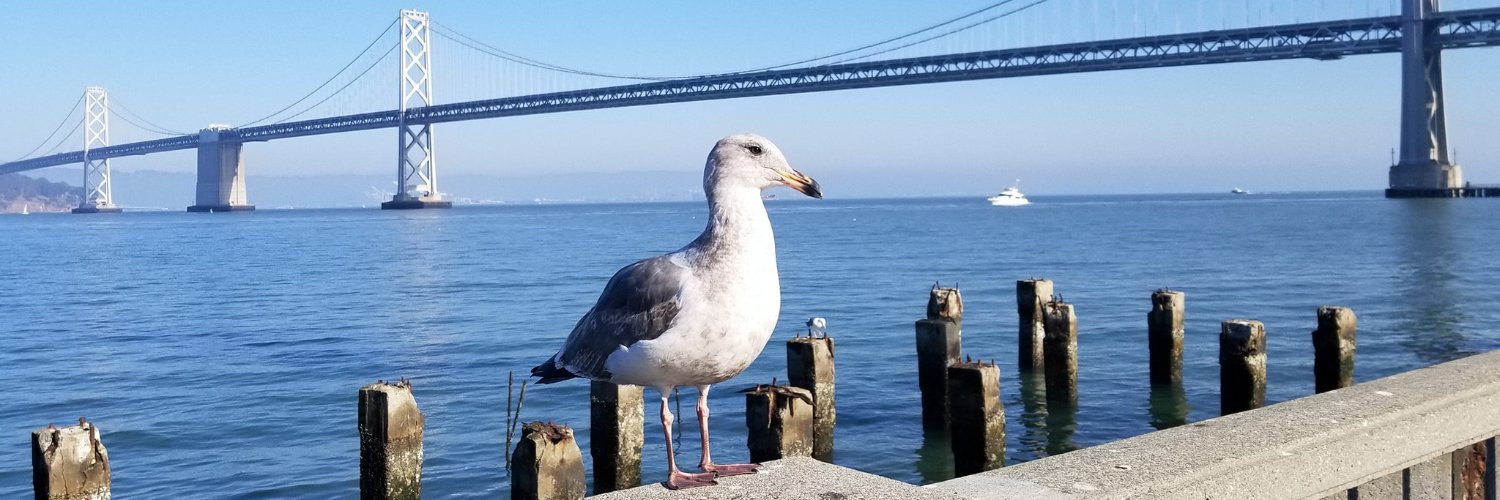 chuck90025's profile banner image