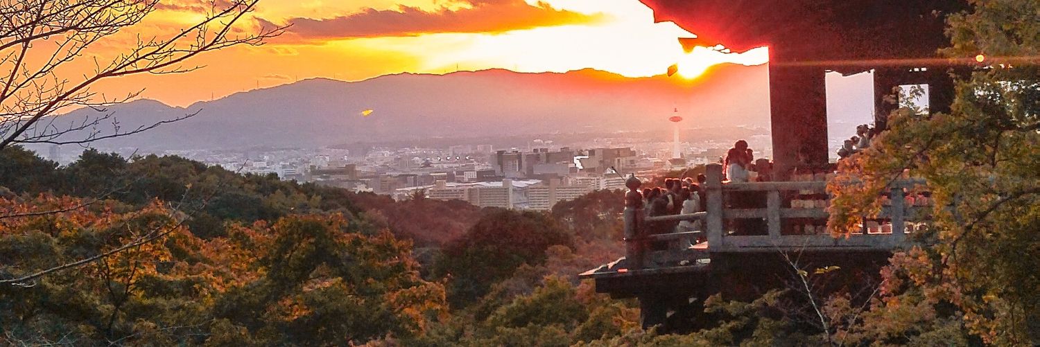 Lopaw4's profile banner image