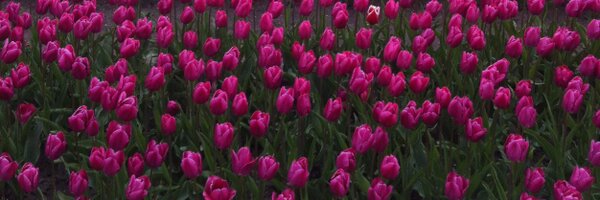 rubber1970 Profile Banner