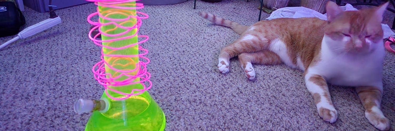 Cat lols at you banner