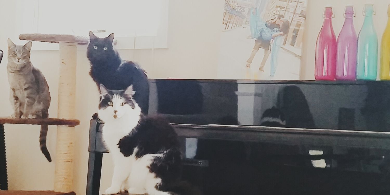 uroojs's profile banner image