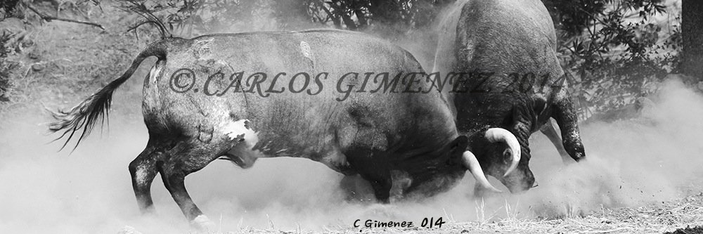 Cgimenezpedrosa's profile banner image