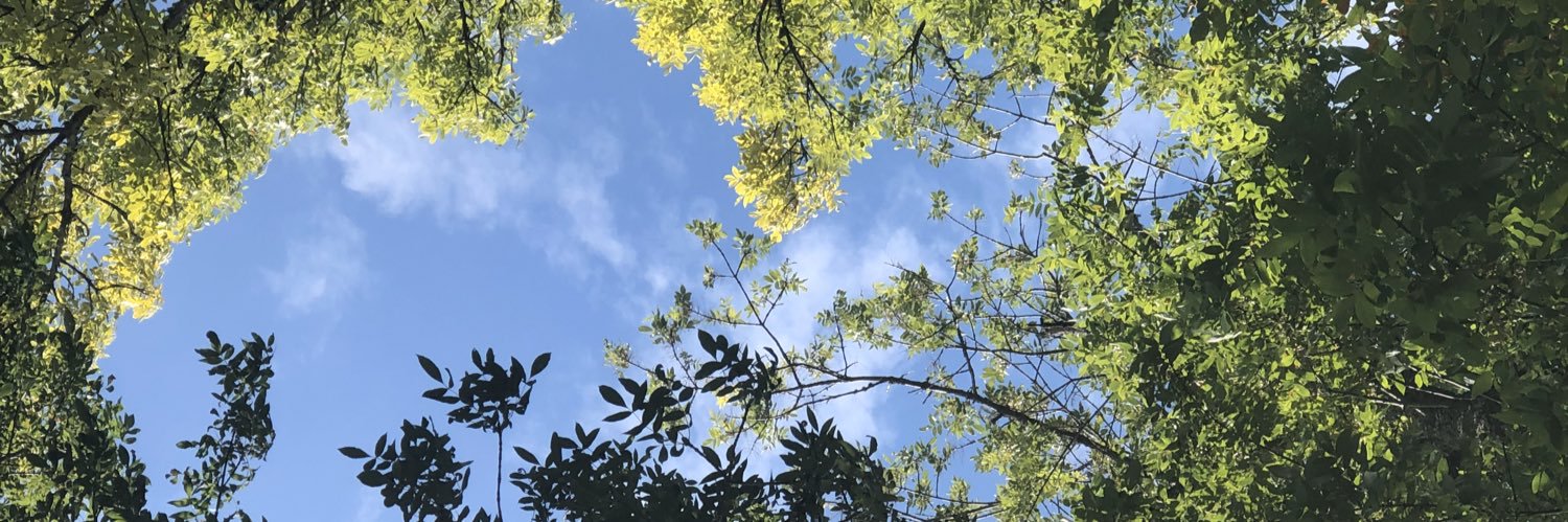 LukePamer's profile banner image