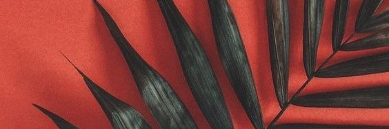 Le_Diamant's profile banner image