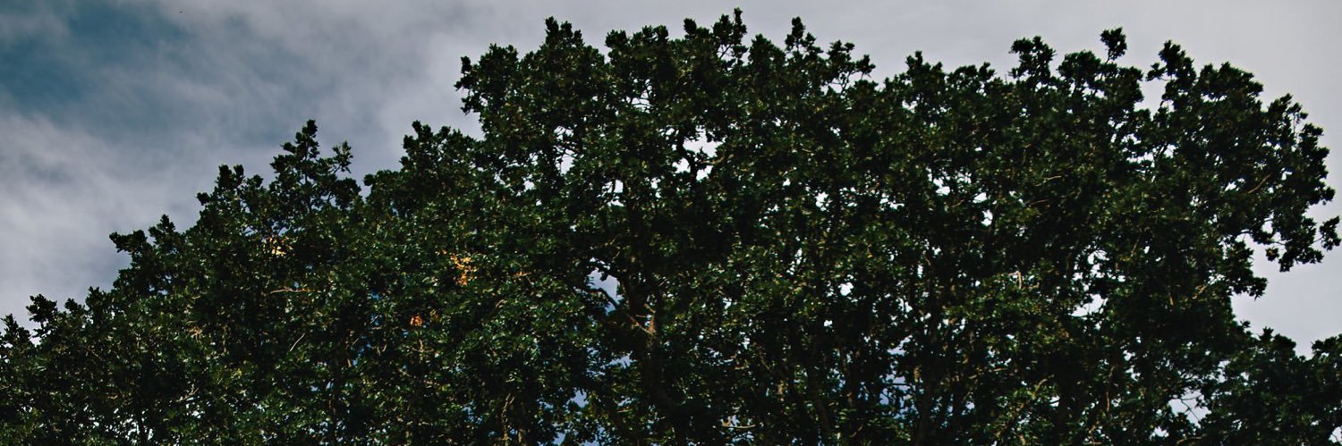 TimshelT's profile banner image