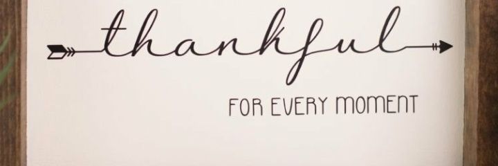 sandyjp02's profile banner image