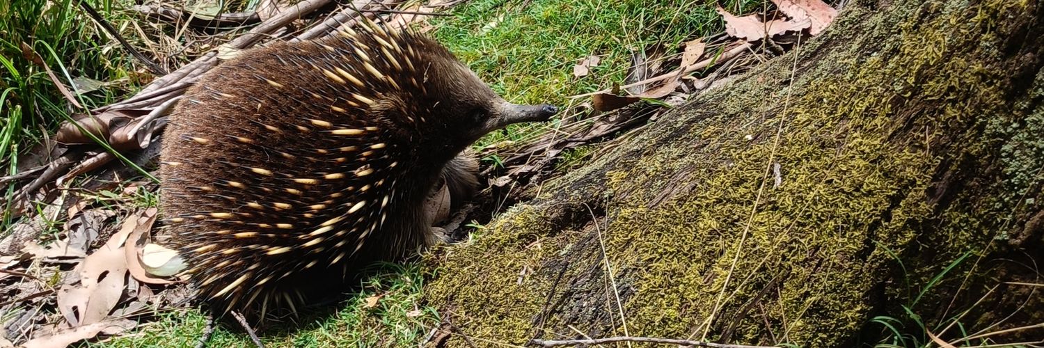 James Jackson banner