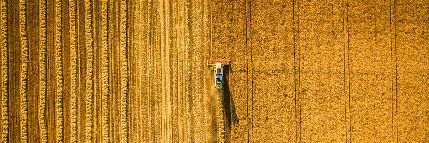 Jean-François Loiseau banner