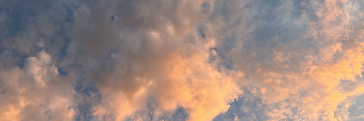 ✨tay thee lesbian✨⁷ banner