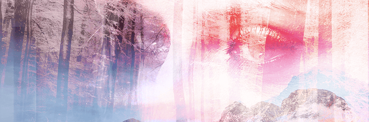 Sunna Wehrmeijer banner