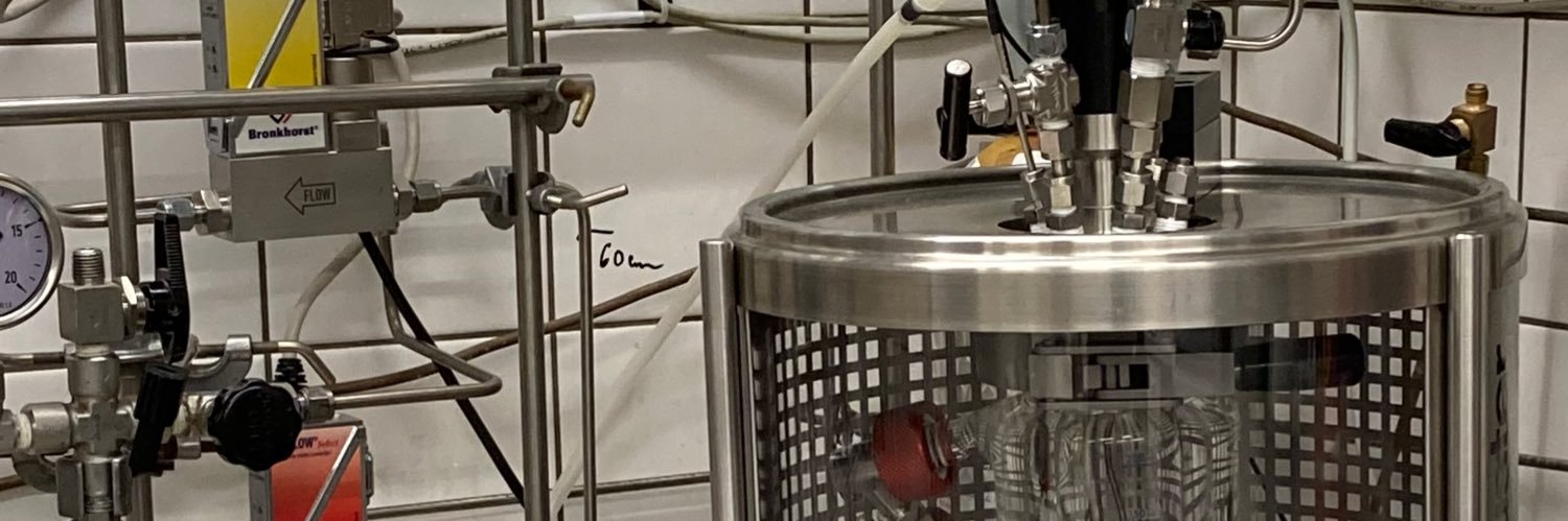 The Merna group (CatPol@UCT_Prague) banner