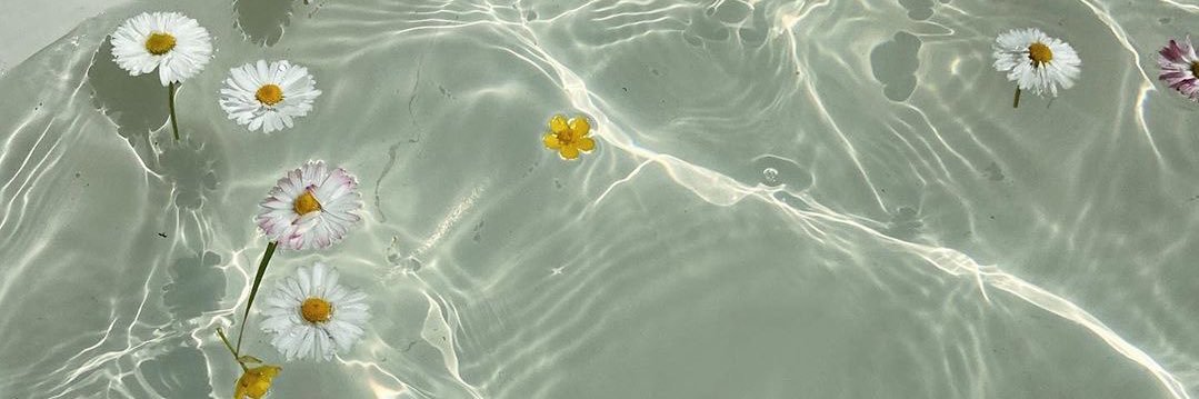 aileenperalt's profile banner image