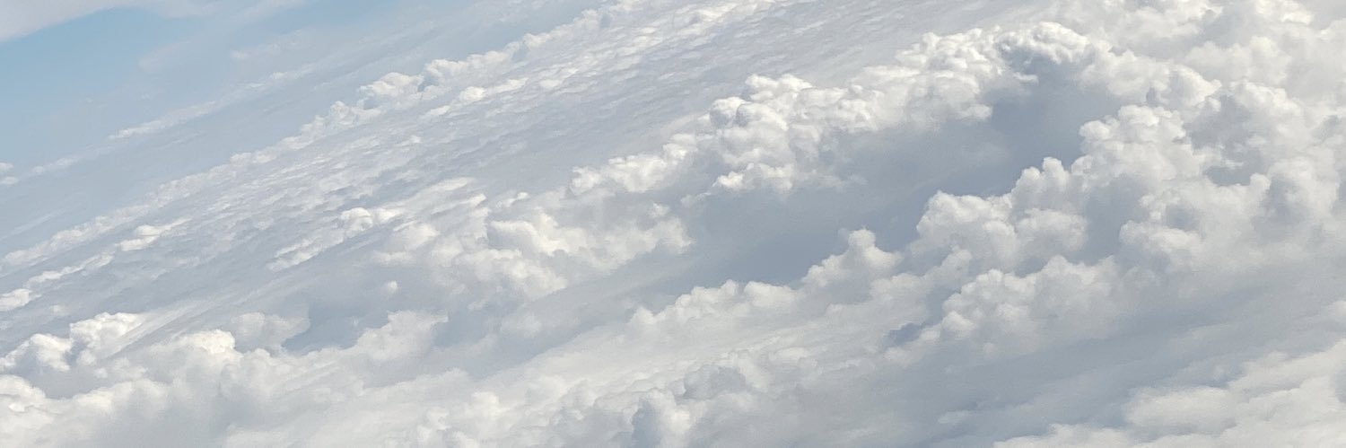 Rhoney banner
