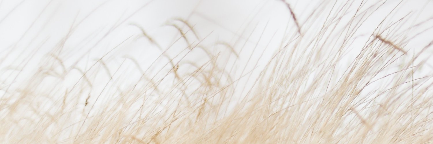 tarvamakesbeats's profile banner image