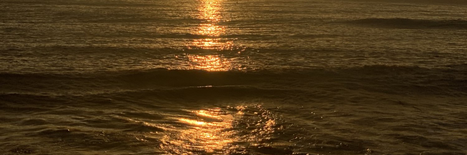ululysnn's profile banner image
