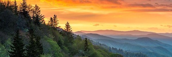 sarahgray98 Profile Banner