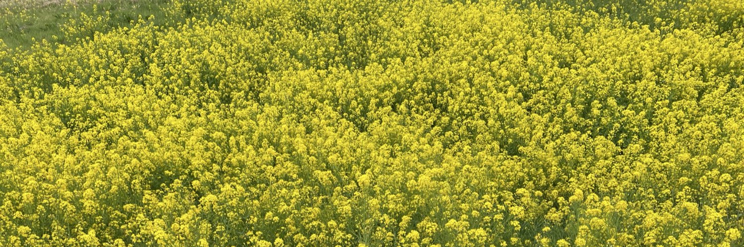 あるり　ゆう:鬱病の人 banner