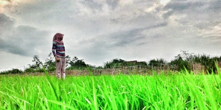 _niissaa's profile banner image