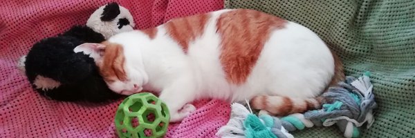 DerkWalters Profile Banner