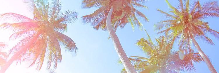 AlliyahFL's profile banner image
