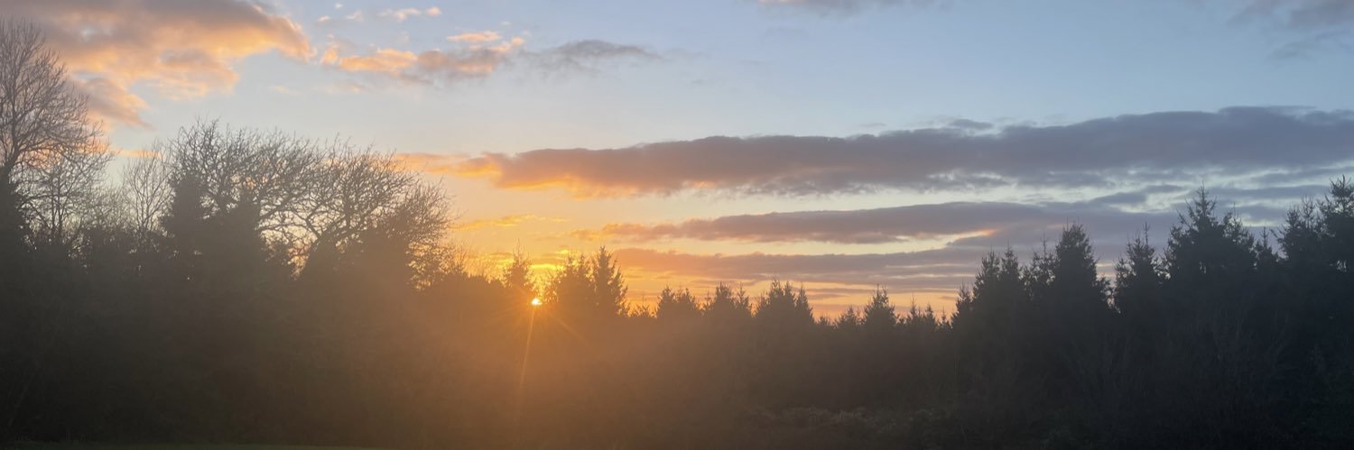 Rachel Msetfi banner